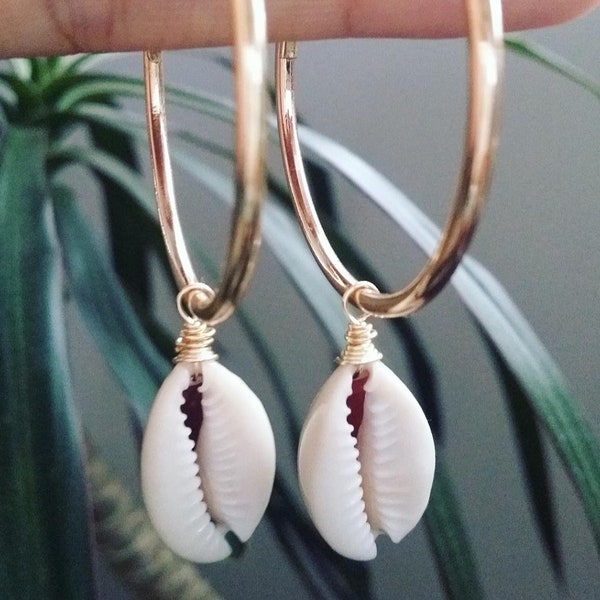 Classic Thick Hoop Cowry Shell Earrings | Medium Hoops |  Small Gold Hoop Earrings | Cowrie Shell | Beach Jewelry | Gold | Silver