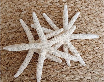 Beach Decor