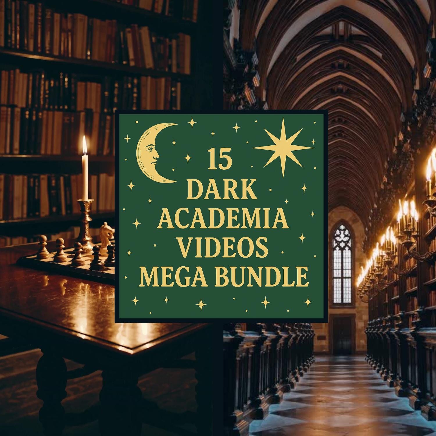 Dark Academia Aesthetic Video Bundle – 15 MP4 Loops | Vertical Video Mega Pack for Reels, TikTok, YouTube Shorts | Dark Academia Videos