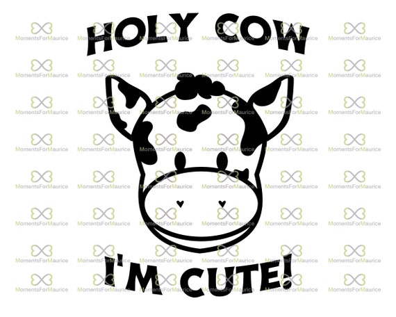 Download Holy Cow I M Cute Svg Baby Cow Svg Cow Svg Cute Cow Etsy