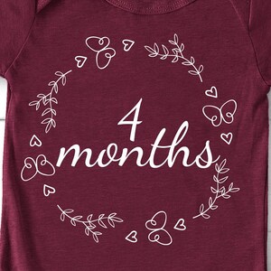 4 Month Svg, Baby Girl Milestone Svg, Monthly Milestone Baby, Milestone Svg, Baby First Year, Newborn Girl Svg, Monthly Milestone Svg