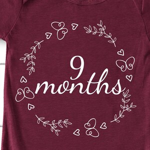 Monthly Milestone Svg, Baby Milestone Svg, Baby Girl Milestone Svg, Monthly Milestone Baby, Milestone Svg, Baby First Year, Newborn Girl Svg