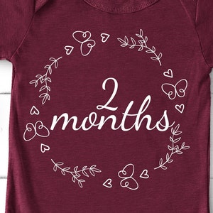 Baby Girl Milestone Png, Monthly Milestone Svg, Monthly Milestone Baby, Milestone Svg, Baby First Year, Newborn Girl Svg, Baby Months Svg