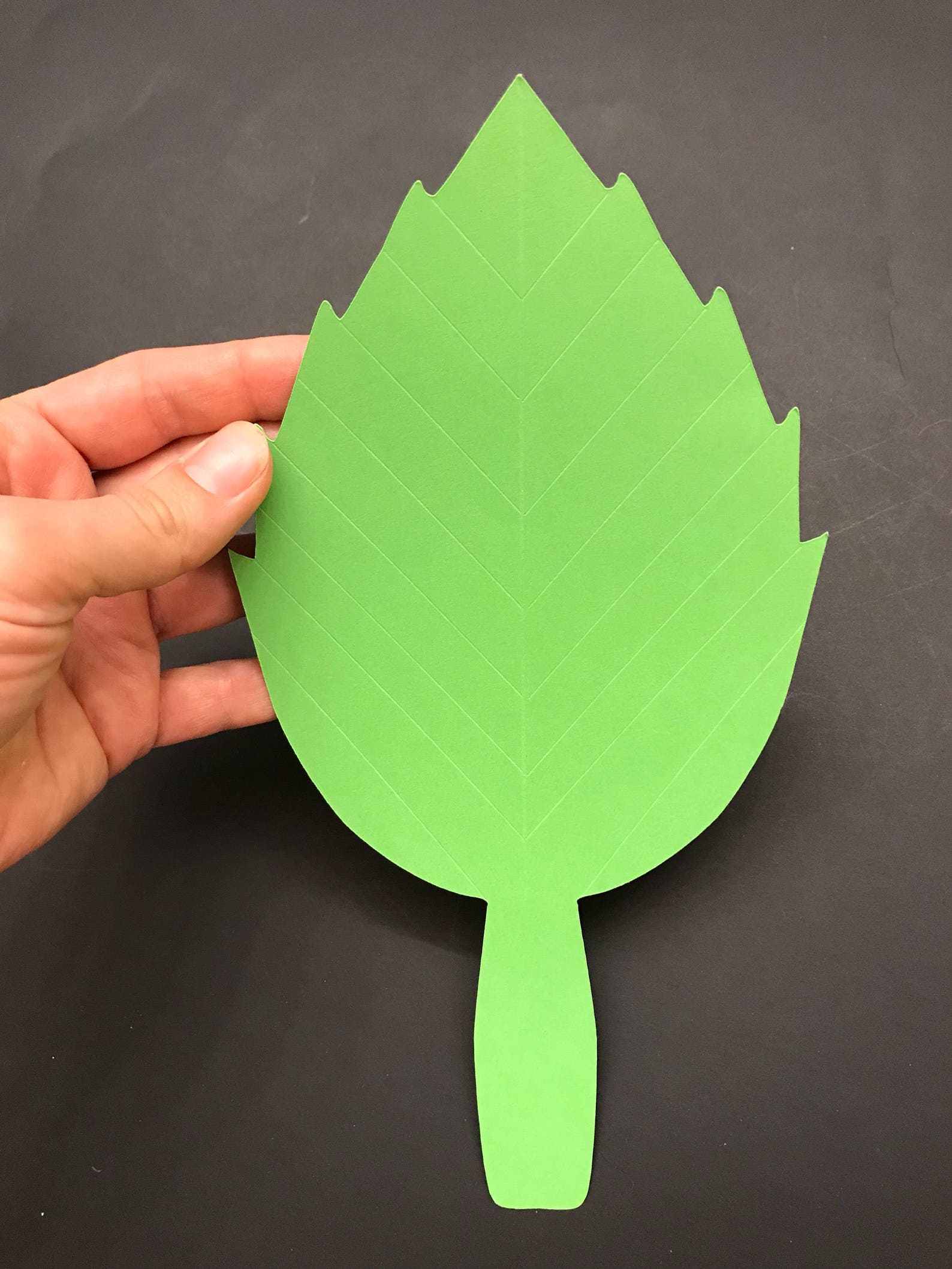 Paper Leaves Large Paper Leaves Nursery Decor Party Etsy