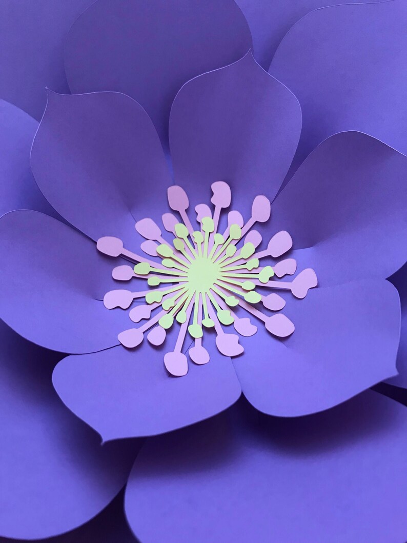 Large Paper Flowers Paper Flowers Giant Paper Flowers Baby Etsy