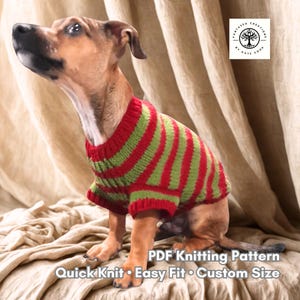 Op de afbeelding: Een kleine hond draagt een rood-groene gestreepte trui. De trui heeft een ronde hals en korte mouwen. De hond zit op een beige stof. De tekst op de afbeelding luidt "PDF Knitting Pattern, Quick Knit, Easy Fit, Custom Size."