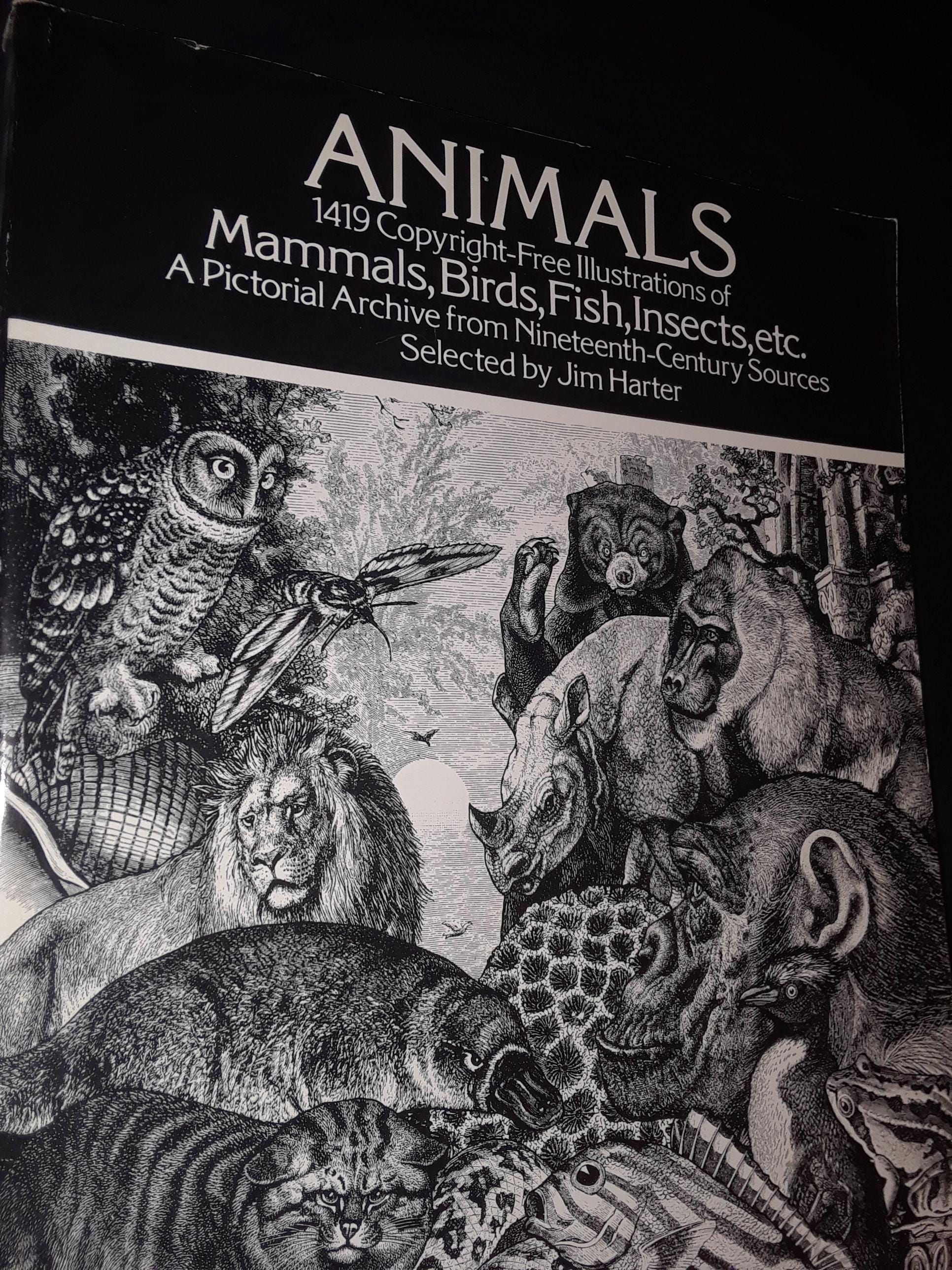 Animals: 1,419 Copyright-Free Illustrations of Mammals, Birds, Fish, Insects, A Pictorial Archive from 19th Century Sources, 1979, Big Book