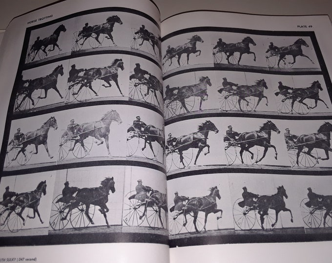 Pics, 1899, Animals in Motion, Eadweard Muybridge, 183 Plates Horses ...