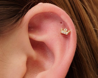Pendientes de cartílago con forma de corona de 16 g, con forma de concha, para trago, hélice, labio y parte trasera plana, piercings para oreja y corona.