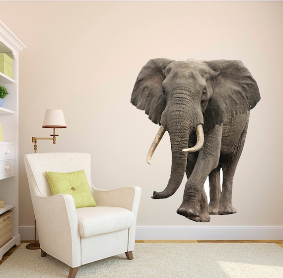 Elephant wildlife wallpaper mural for home walls. 