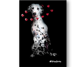 Dalmatian Anniversary Card for Husband | Dalmatian Greetings Card for Wife | Spotty Dog Valentine’s Card | Wedding Card for Dog Lover