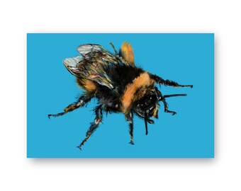 Bumble Bee Blank Greetings Card | Insect Lover Birthday Card | Invertebrate Notelet | Thank You Card | FSC Eco Card