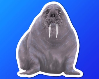 Walrus with Tusks Ocean Wildlife Decal Sticker Walrus with Tusks Ocean Wildlife Decal Sticker