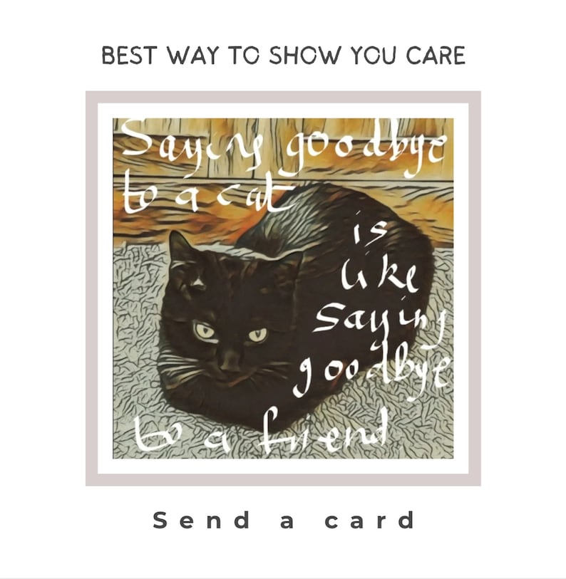 Cat Sympathy Card Pet Bereavement Greetings Card Cat Memorial Card Condolences Card Cat Loss Card Plastic Free image 3