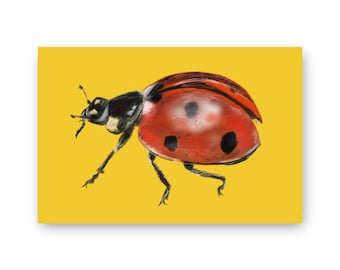 Ladybird Blank Greetings Card | Insect Lover Birthday Card | Invertebrate Notelet | Thank You Card | FSC Eco Card