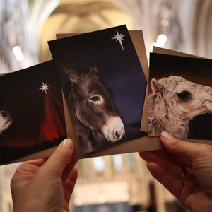 6er Packung Weihnachtskarten - Biblische Karten-Triologie - jeweils 2 vonFOLGE YOnder Stern, Kleines Lamm, und Ankunft in Bethlehem