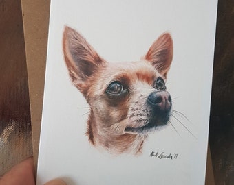 jack chi dog for sale