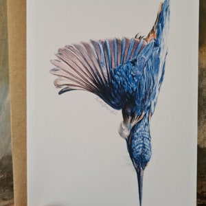 4 pakje Diving Kingfisher aquarel print wenskaarten, Bird Lover's Series, blanco voor uw bericht.