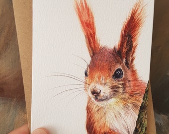 4 pack of Red Squirrel watercolour print greeting cards, wildlife card, blank for your message.