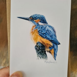 4 pak Kingfisher aquarel print wenskaarten, Bird Lover's Series, blanco voor uw bericht.