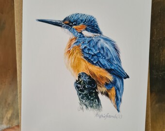 4 pacotes de cartões comemorativos com impressão em aquarela Kingfisher, Bird Lover's Series, em branco para sua mensagem.