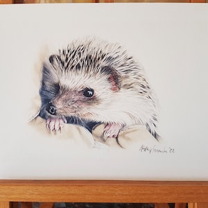 Hedgehog print on Velvet Etching Fine Art Archival Textured Paper, 11.7 x 8.3 inches.