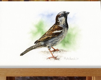 House Sparrow print, bird art print on Velvet Etching Fine Art Archival Textured Paper, 11.7 x 8.3 inches.