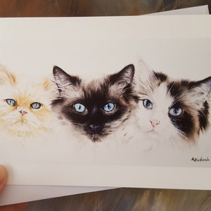 猫の水彩画プリントのグリーティング カード 5 枚パック。ラグドール 2 匹とペルシャ猫 1 匹。猫好きの方向けのカード。あらゆる機会に使えるカード。メッセージ用の空白。