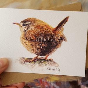 Paquete de 4 tarjetas de felicitación con impresión de acuarela de Wren, serie Bird Lover, en blanco para su mensaje.