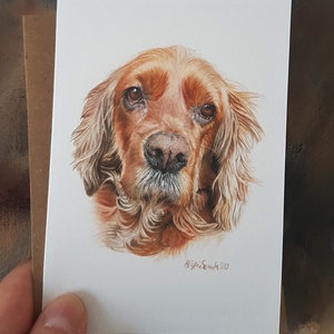Paquete de 4 tarjetas de felicitación impresas en acuarela Spaniel, Dog Lover's Series, en blanco para su mensaje.
