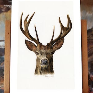 Stampa Ten Point Buck, stampa artistica sulla fauna selvatica su carta Velvet Etching Fine Art Archival Textured, 8,3 x 11,7 pollici, A4.