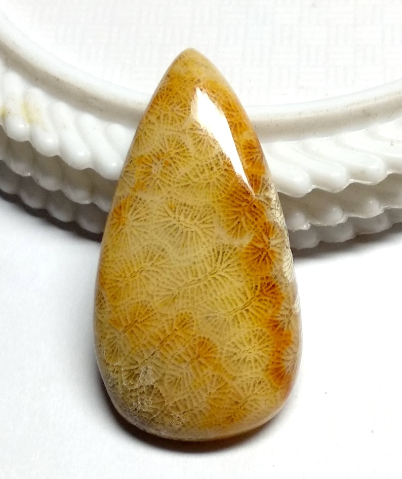 Fossil Coral Pear Designer Cabochon,Size38x20x5 MM,Fossil Coral AAA Loose Gemstone,Smooth Cabochons.Natural Gemston.