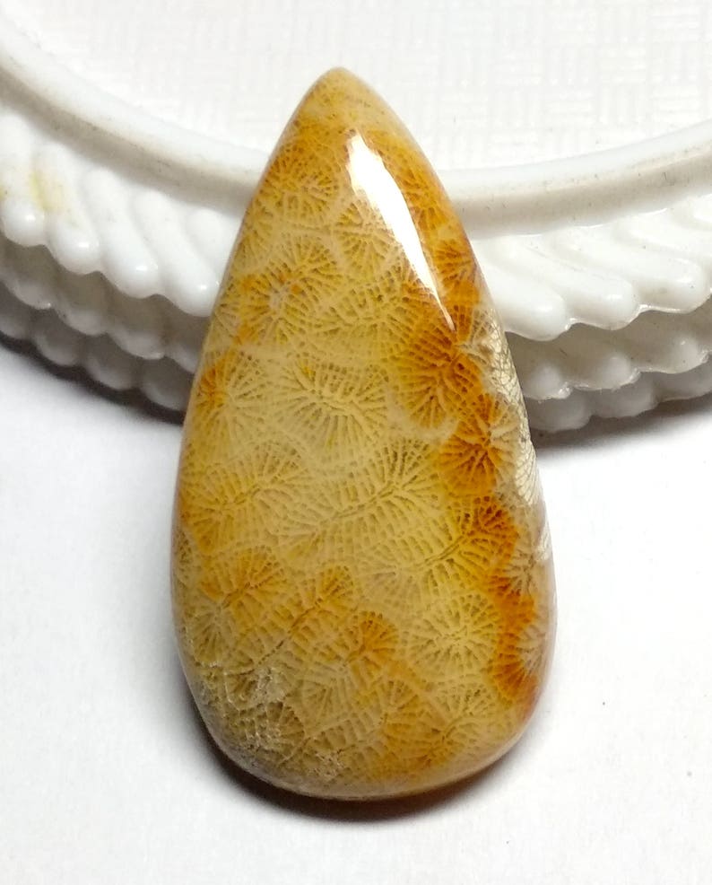 Fossil Coral Pear Designer Cabochon,Size38x20x5 MM,Fossil Coral AAA Loose Gemstone,Smooth Cabochons.Natural Gemston.