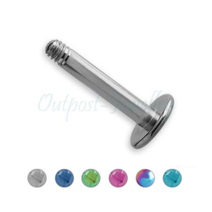 May include: A silver-colored lip piercing stud with a flat, round base and a threaded post. The image also shows a selection of colorful, round replacement studs in various colors, including blue, green, pink, and iridescent.