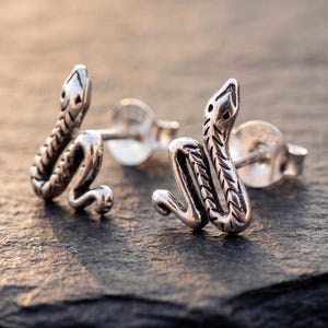 May include: A pair of silver stud earrings shaped like coiled snakes with detailed scale textures and oxidised accents. Each earring features a post back and is clearly marked with 925 on the back, indicating sterling silver construction.