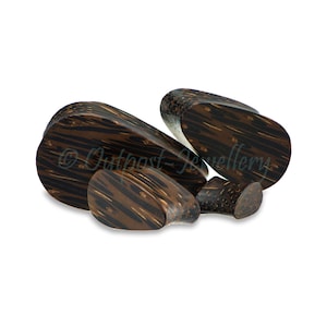 May include: A collection of dark brown wooden ear plugs with a striped pattern, set against a white backdrop. The plugs are of various sizes and shapes, some with a flared design. The text "© Outpost-Jewellery" is visible.