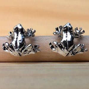 May include: Two silver-colored frog figurines. The frogs are in a sitting position with their legs spread out. The figurines are resting on a wooden dowel against a light brown background. The frogs have detailed features.