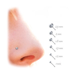 May include: A close-up of a nose with a small, clear, round nose stud. Several nose studs of varying sizes are displayed next to the nose, ranging from 1 mm to 2.5 mm in diameter. The studs are on a white background.