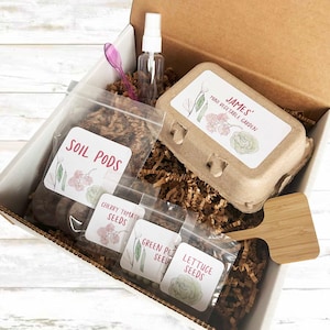Personalized Mini Vegetable Garden | DIY Activity Box | Kids Gardening Set | Planting Kit | Seed Planting Activity | Kids Summer Activity