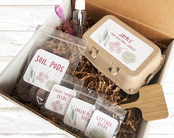 Personalized Mini Vegetable Garden | DIY Activity Box | Kids Gardening Set | Planting Kit | Seed Planting | Christmas Gift | Birthday