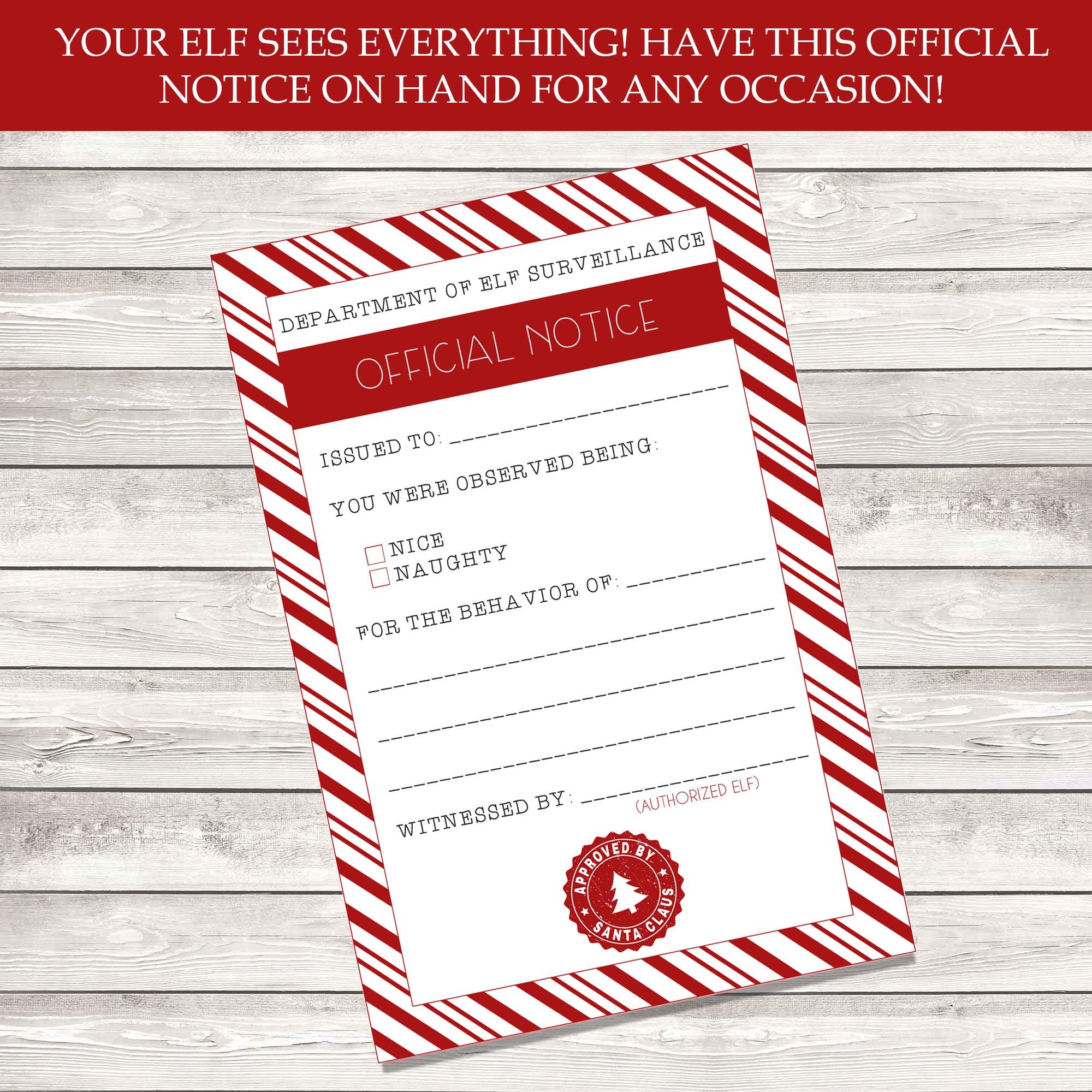 Custom Elf Printables - Elf Behavior Report - Elf Ideas - Elf Naughty List - Elf Nice List - 4x6in PDF - Digital Download
