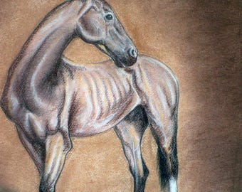 Studie van het paard - pastelschilderij op patroonpapier 30 x 22 inch - ingelijst
