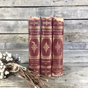 Puede incluir: Tres libros antiguos con cubiertas burdeos y letras doradas. Las lomos dicen "MUHLBACH NOVELS" y presentan t&iacute;tulos como "DAUGHTER OF AN EMPRESS" y "MOHAMMED ALI". Patrones dorados decorativos adornan las cubiertas. Un ramo de flores blancas descansa en primer plano.