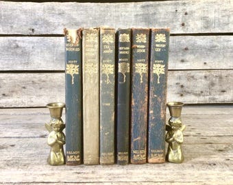 Op de afbeelding: Een verzameling antieke boeken met gouden letters en decoratieve boomontwerpen. De boeken zijn in verschillende tinten blauw, groen en beige. Twee kleine messing engelenkaarsenhouders flankeren de boeken, wat een vintage esthetiek creëert.