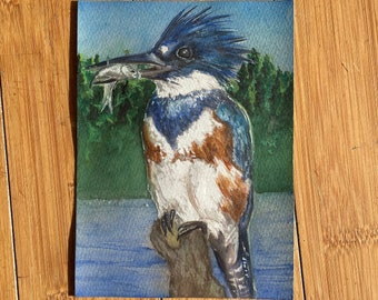 Belted Kingfisher Painting, 5.5" x 7.5" watercolor painting, wildlife and animal artwork birds and outdoor art original painting for him