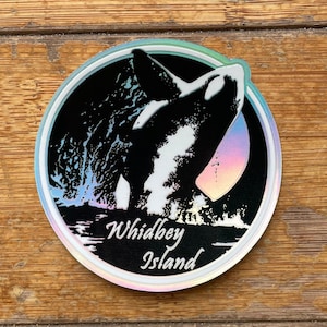 Whidbey Island Orca Sticker: Silver Holographic Whale Decal