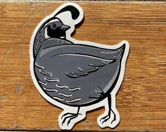 Quail sticker, 3.75" vinyl bird sticker of a cartoon California quail, waterproof vinyl for water bottle laptop animals and biology