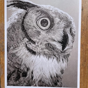 Great Horned Owl Print, 8x10 print of ink drawing on grey paper, wildlife and animal art, great gift for dad gift for birdwatchers