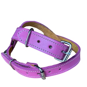 Leather All Purpose (No Pull Dog Harness)