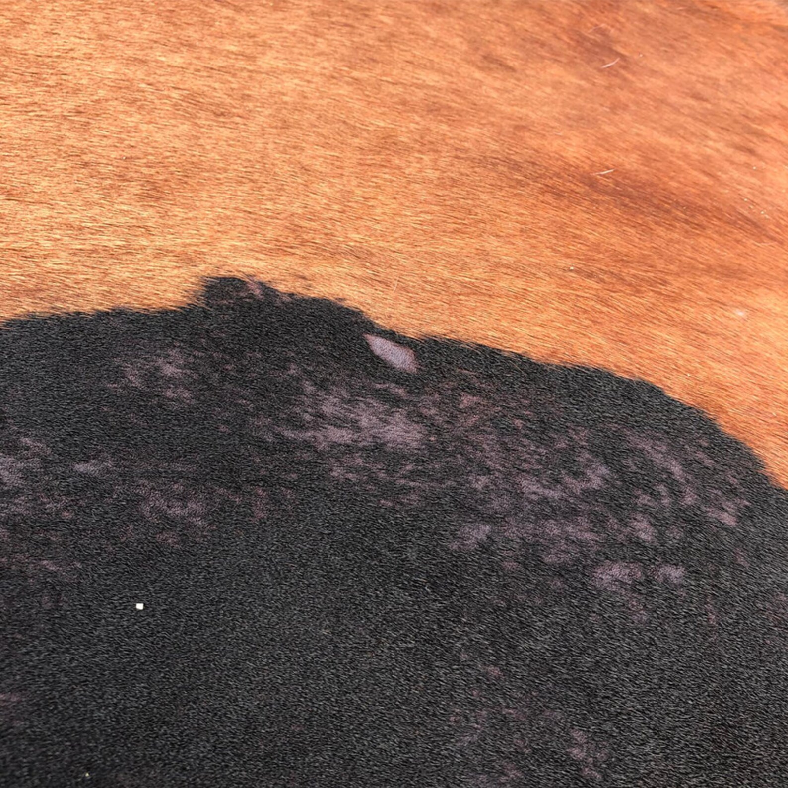 Hair on cowhide black and white dyed brown second grade Etsy